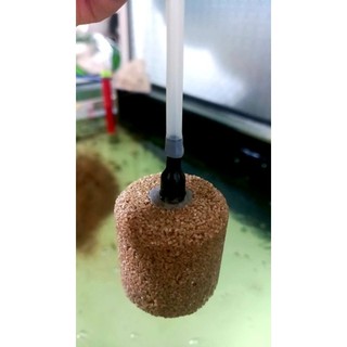 Dây sủi Oxy chống gập(1m)(giảm giá từ 2m)