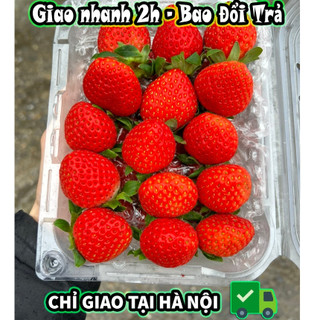 🍓 DÂU TÂY HANA MỘC CHÂU SZ NHỠ CẬP KHO SIÊU ĐẸP 1 Hộp ( 500g)  - Goldenfruit - Hoa quả nhập khẩu