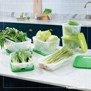 Set 6 hộp trữ mát Ventsmart Tupperware