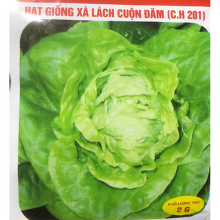Hạt giống Rau xà lách 🌱
