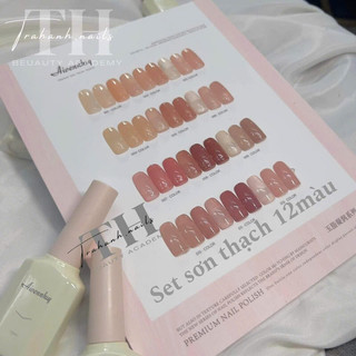 Sét sơn gel thạch 12 mầu [tặng bảng mầu]