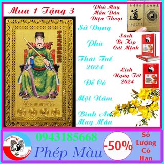 Kim bài thái tuế 2024 - phù thái tuế 2024 giải hạn năm 2024 cho tuổi thìn tuất sửu mão - phong thủy đế vượng