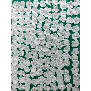 Set 10 cái hoa voan nhí đính đá màu trắng trang trí đính kết áo