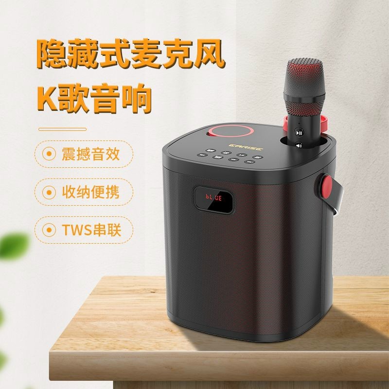 Loa  CARISC B28 kèm hai míc (có nút điều chỉnh )