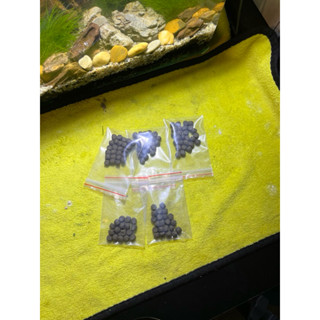 Thức ăn viên nỗi cho cá 7 màu Guppy Bình tích cá nhỏ Aquamaster Omega Mizuho chiết lẽ dùng thử.