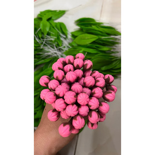 Nụ hoa đất sét ( hoa đào)