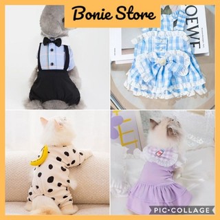 - tổng hợp áo quần chó mèo thú cưng size l mẫu lẻ