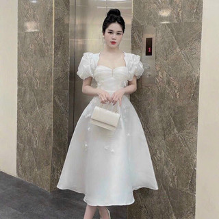 Đầm tapta nữ