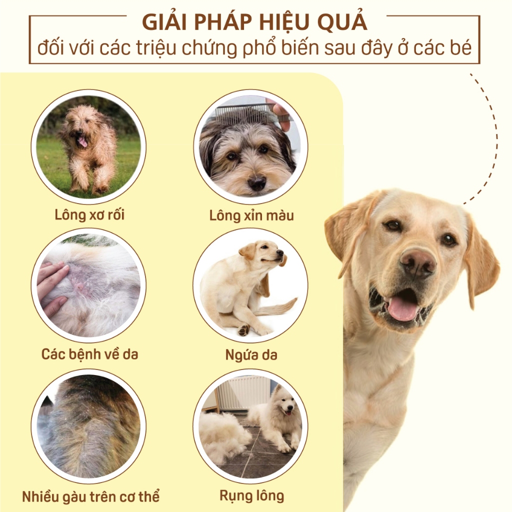 Sữa Tắm Cho Chó Mèo MasterCare 250ml/500ml - Siêu Khử Mùi Lưu Mùi và Giảm Rụng Lông - Mastercare For Pet