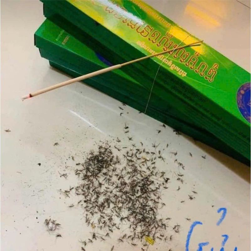 Combo 10 Nhang muỗi thái lan