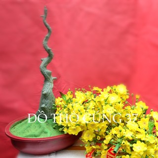 CHẬU MAI GIẢ KIỂU BONSAI