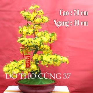 CHẬU MAI GIẢ KIỂU BONSAI