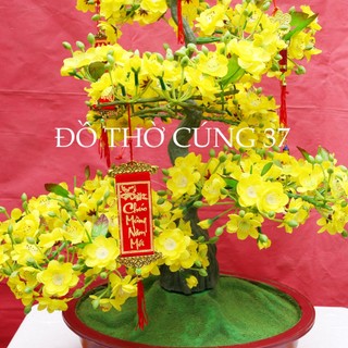 CHẬU MAI GIẢ KIỂU BONSAI