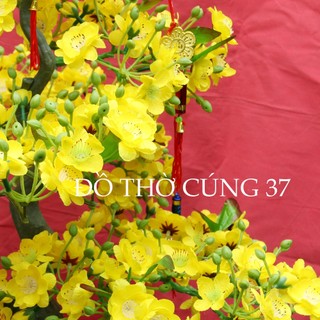 CHẬU MAI GIẢ KIỂU BONSAI