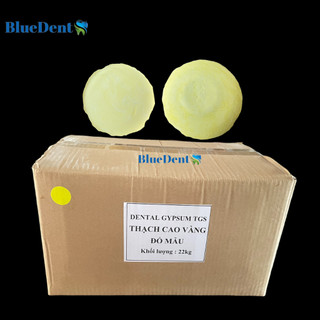 22kg Bột Thạch Cao Vàng TGS Đổ Mẫu Mô Hình Siêu Nét Thủ Công Labo Dental Gypsum