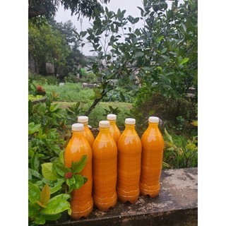 Mật nghệ lên men