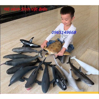 Mô hình cá mập cá voi chim cánh cụt cá mập xanh bằng cao su mềm size To đồ chơi trẻ em