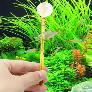 Nhiệt Kế Đo Nhiệt Độ Bê Cá Canh Thủy Sinh Bể Tép Cảnh