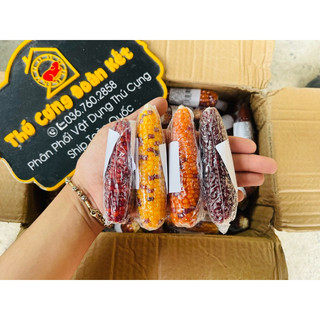 Trái bắp mini mài răng cho hamster