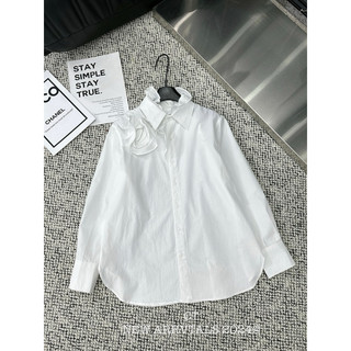 Áo sơ mi cổ bèo siêu xinh