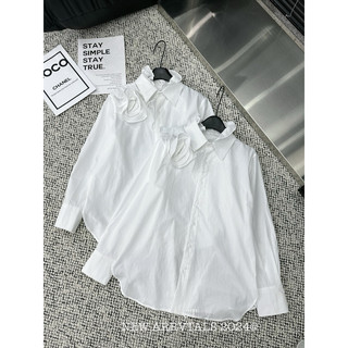 Áo sơ mi cổ bèo siêu xinh