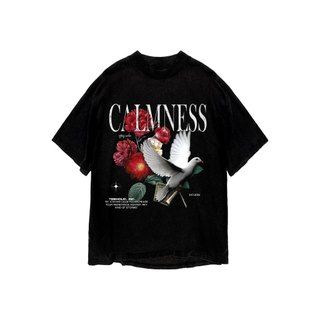 Áo thun in hình unisex nam nữ teeholic cotton cao cấp phong cách retro y2k chim bồ câu màu đen trắng THS091223_217
