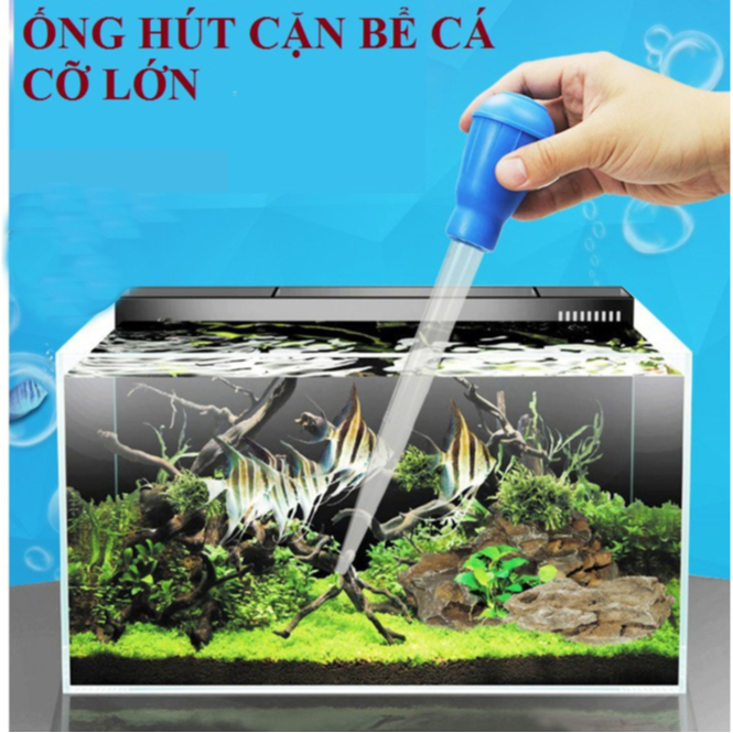 Ống Hút Cặn, Ống Hút Phân Cá Size 30ML