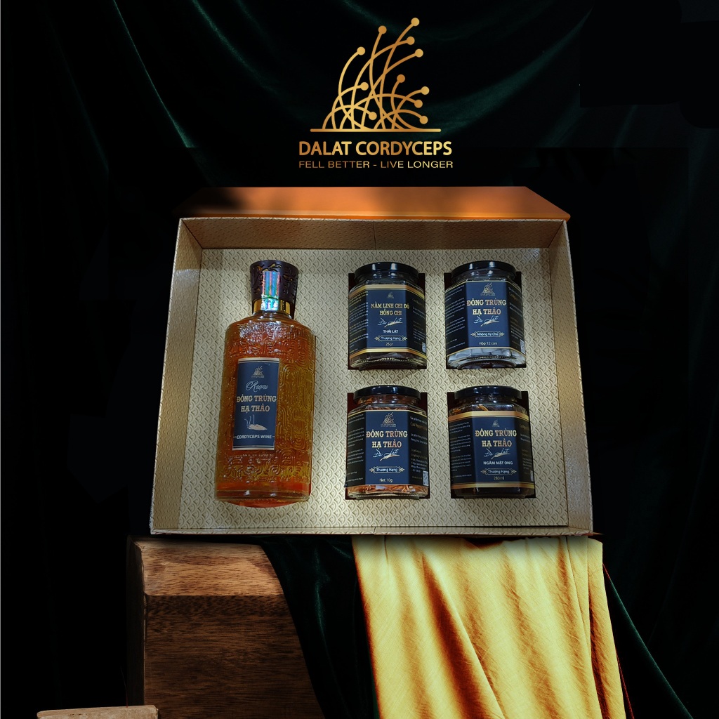 Đông trùng hạ thảo hữu cơ, hộp quà tặng cao cấp, Dalat Cordyceps