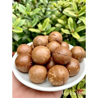 Hạt macca đắk lắk sấy nứt vỏ - kèm đồ khui