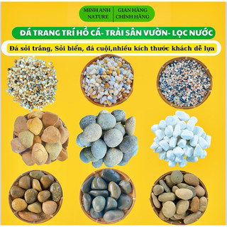Đá Sỏi Trang Trí Hồ Cá, Sỏi Trang Trí Chậu Cây, Đá Cuội Trải Sân Vườn,Sỏi Biển,Sỏi Trắng Trang Trí, Sỏi Màu,Sỏi Lọc Nước