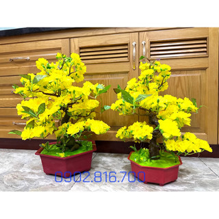 Cây mai bonsai giả để bàn trang trí tết