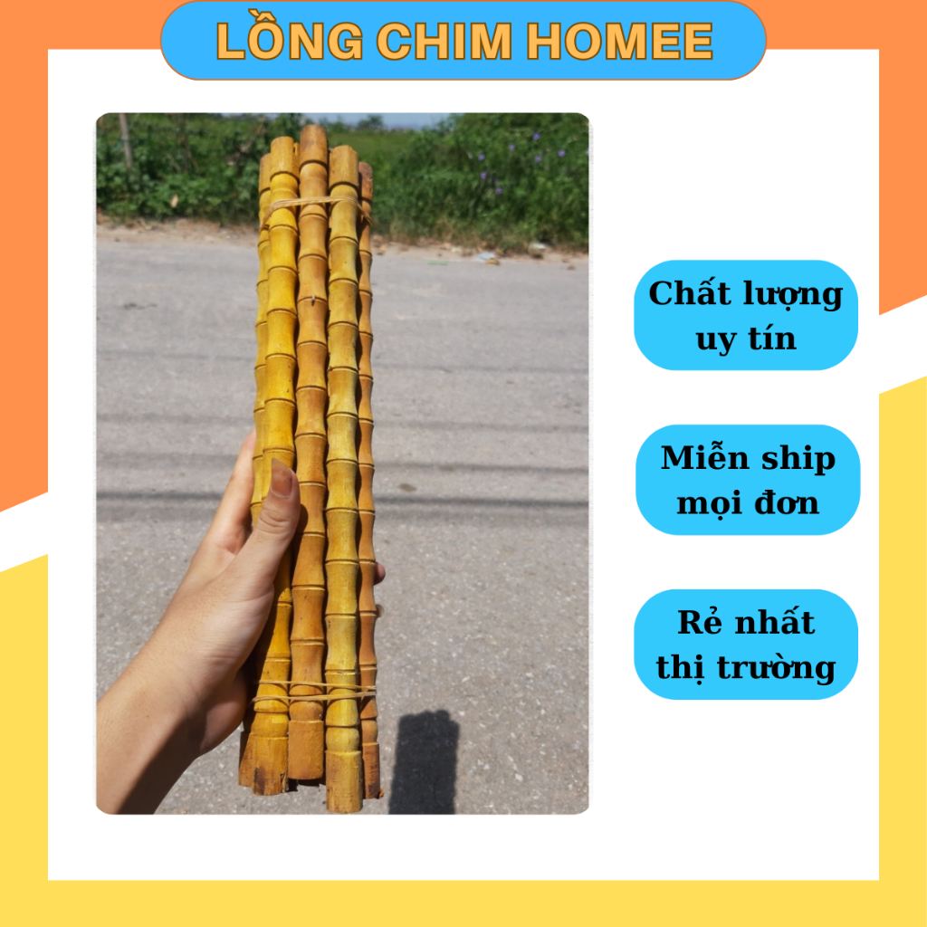 Cầu đốt trúc chim chào mào, chòe, mi , khướu chất liệu gỗ giá rẻ uy tín H23
