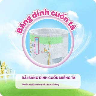 Bỉm /Tã quần Bopby M76,L70,Xl66,XXL56(cộng thêm miếng )Giao màu ngẫu nhiên