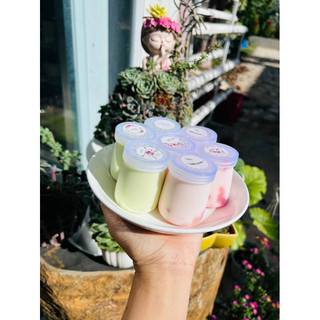 100 hũ sữa chua 60 ml nhựa hdpe