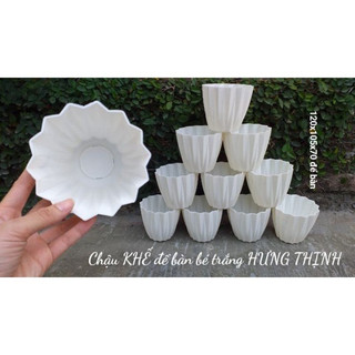 Chậu nhựa trồng cây cảnh để bàn múi khế