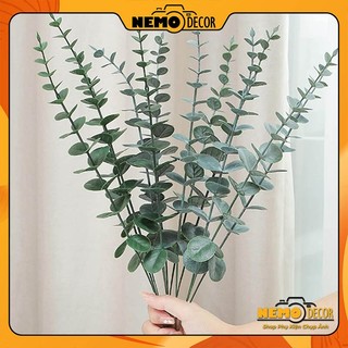 Lá Đồng Tiền Dùng làm Phụ Kiện trang trí Decor chụp ảnh