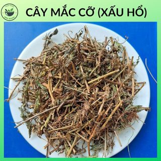 Cây mắc cỡ , túi 500g và 1kg sấy khô, hàng mới đẹp