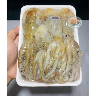 Bạch tuộc trứng câu tươi ngon