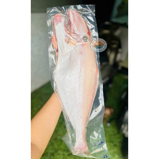 CÁ BÒ DA TRẮNG NHA TRANG (1-2kg/con đã làm sạch)