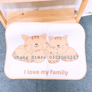 Tấm lót chống thấm 4D cho bé sơ sinh mẫu mới nhiều họa tiết đẹp kích thước 50 x 70cm