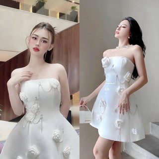 Đầm nữ sang chảnh nd
