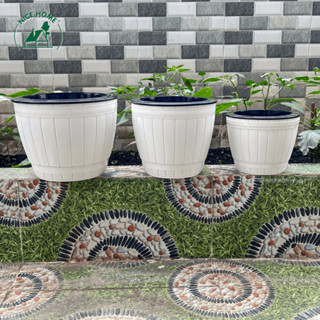 Chậu Cây Tự Dưỡng Thông Minh để bàn và để trưng bày cây cảnh - F005, F006, F007