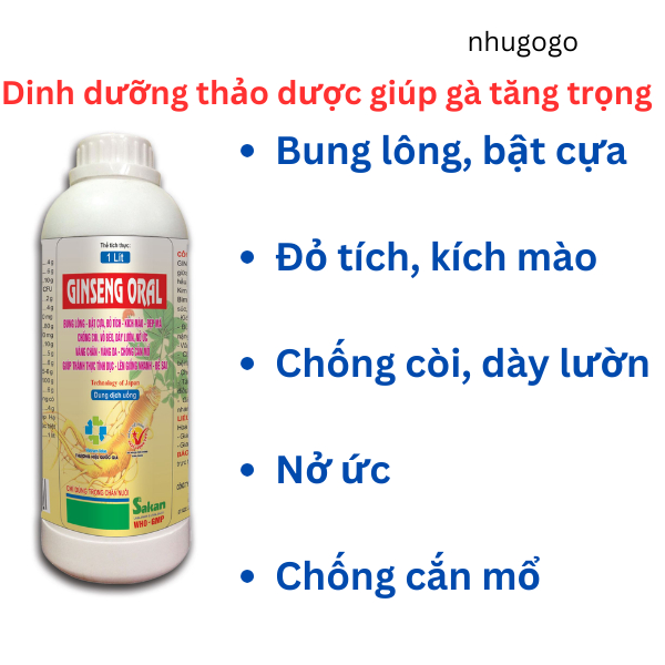 Ginseng oral 1L sakan bung lông, bật cựa