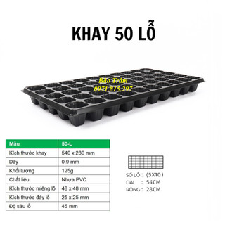 Combo 5 khay ươm hạt 50 lỗ, hàng loại 1 chất lượng cao