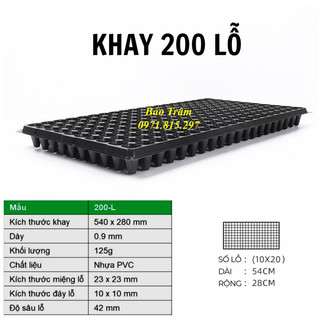 Khay ươm hạt, giâm cành 200 lỗ, hàng loại 1 chất lương cao.