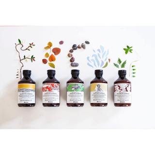 Dầu gội chống gàu Davines Purifying 250ML