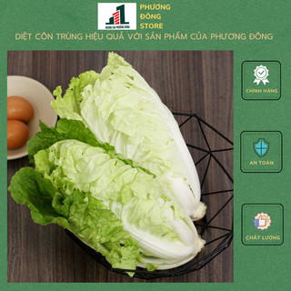 Hạt giống cải bẹ dún 20g
