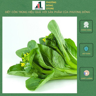 Hạt giống cải ngọt ăn bông 20g