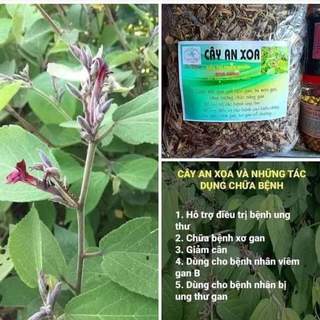 Cây an xoa 500g phơi khô