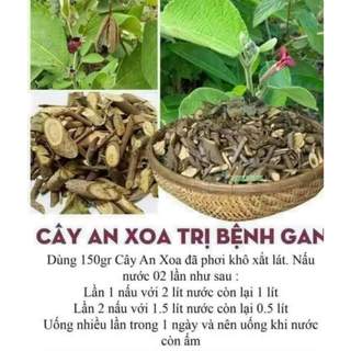 (Dược liệu khô) Cây An Xoa 500g phơi khô